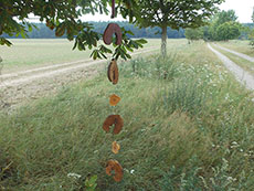 landart05